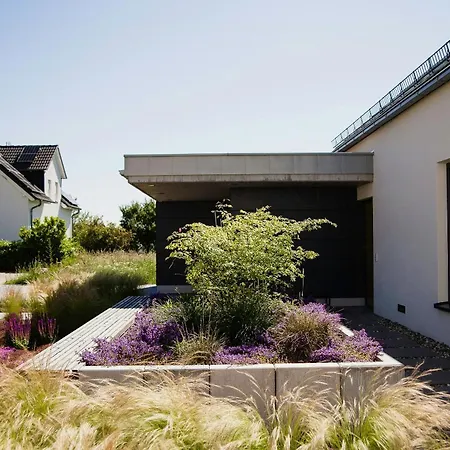 Idyllic Vineyard Retreat Near Casa de Férias